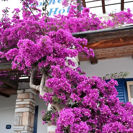 Brother's Отель Иос