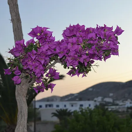 Brother's 2* إيوس خورا