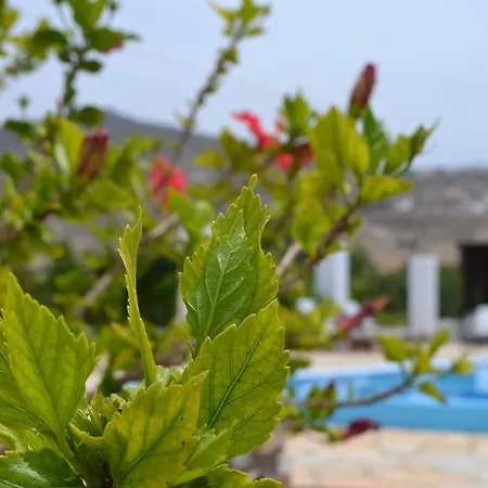 فندق Brother's إيوس خورا