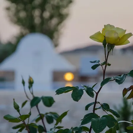 Отель Brother's