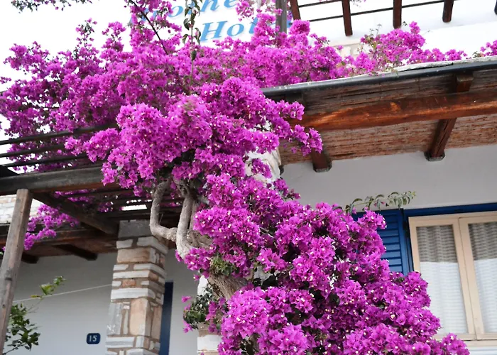 Brother's Hotel Chora (Ios)