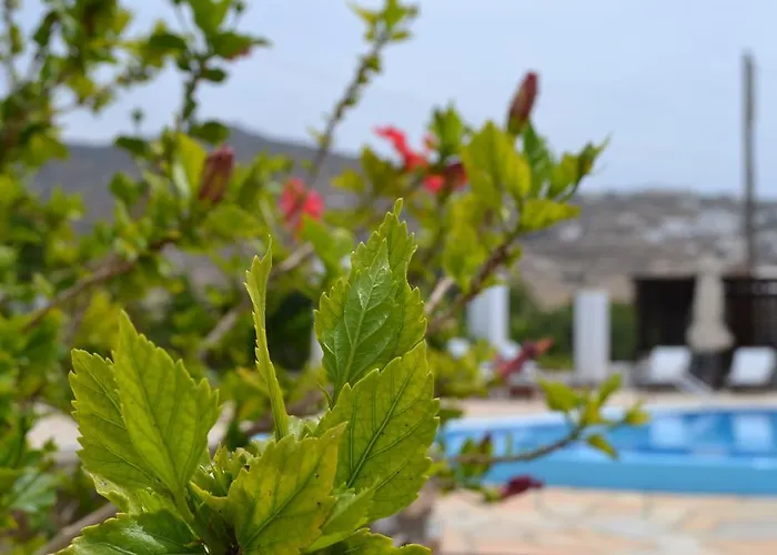 Hotel Brother's Chora (Ios)